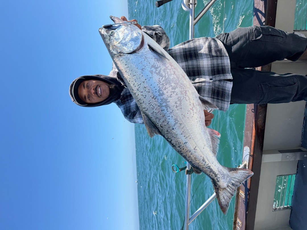 Wednesday report 