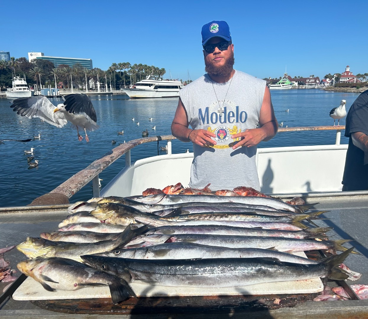 Fish Recap 