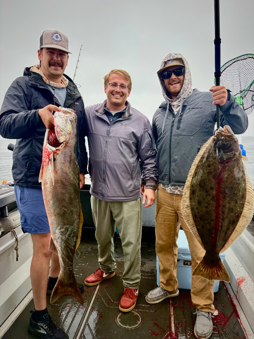 That’s the fact, Jack. Yellowtail jacks are here, and tasty