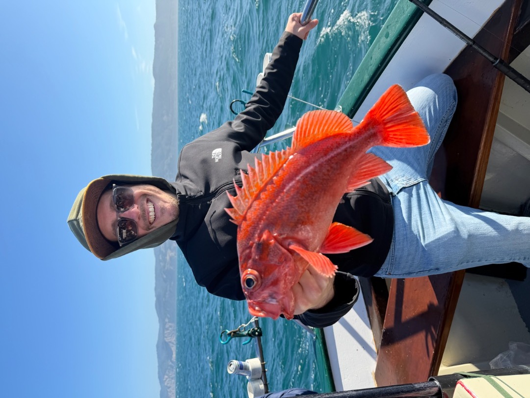 LIMITS OF ROCKFISH ON THE HALF DAY!!!