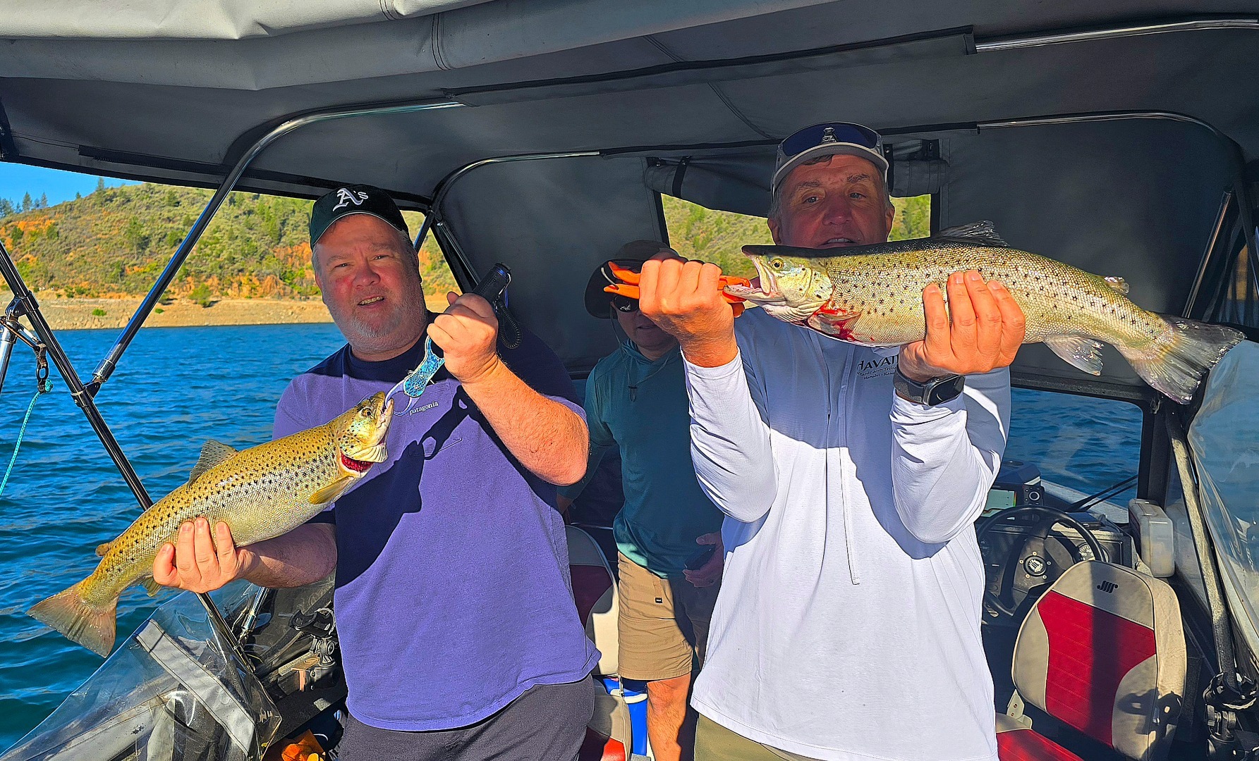 Shasta Lake Brown and Rainbow Trout action