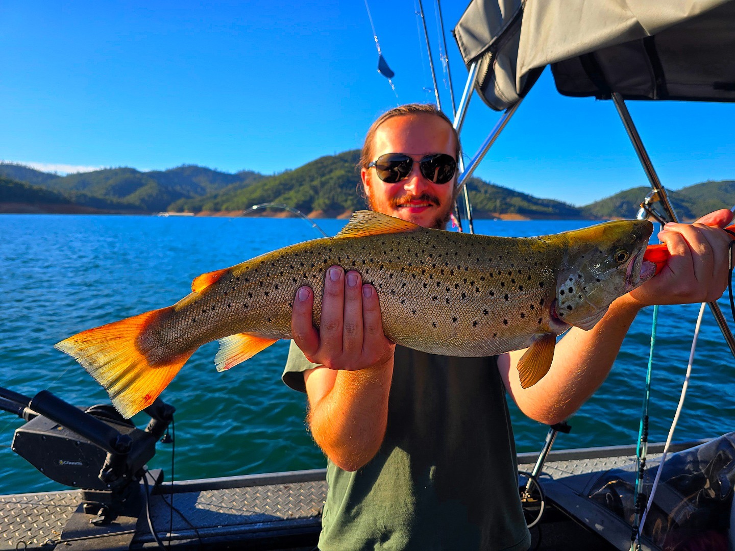 Shasta Lake Piggy Trout action is Hot