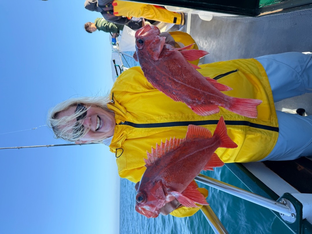 LIMITS OF ROCKFISH!!!