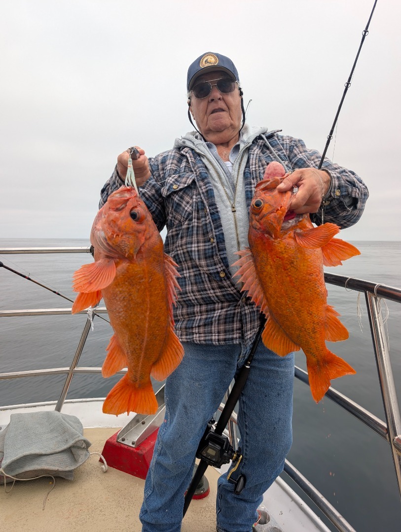 Rockfish Update