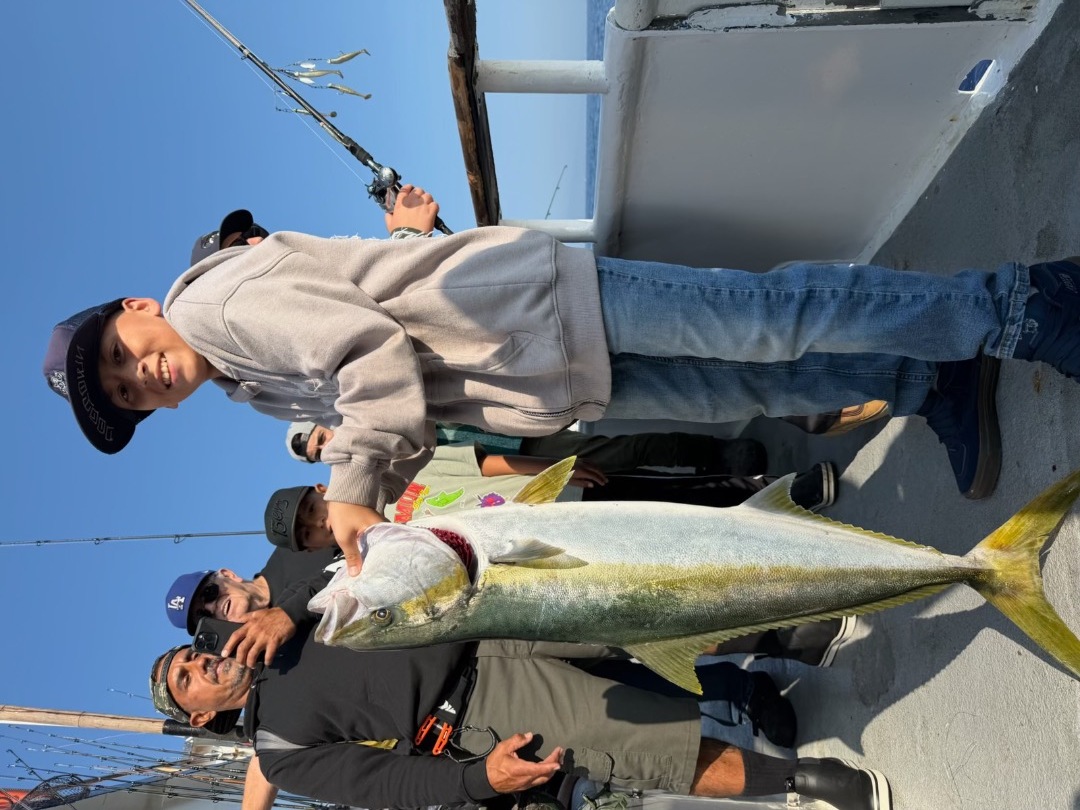 Yellowtail Frenzy!!! 