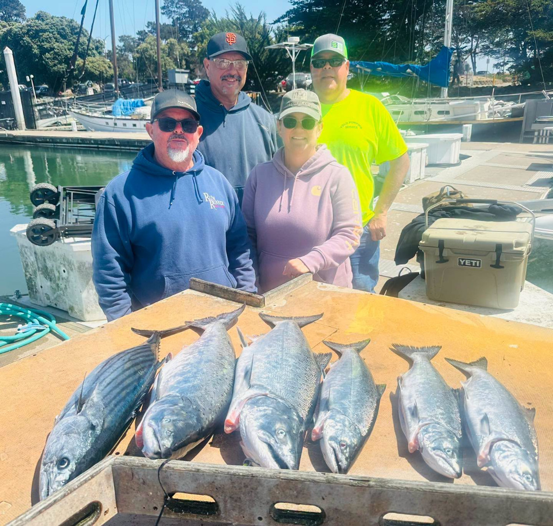 Nice haul of fish