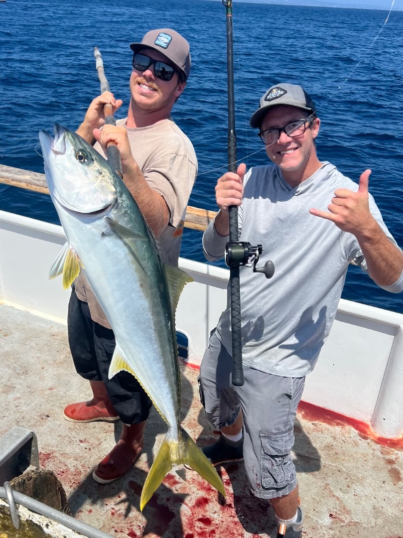 Yellowtail for the win! 