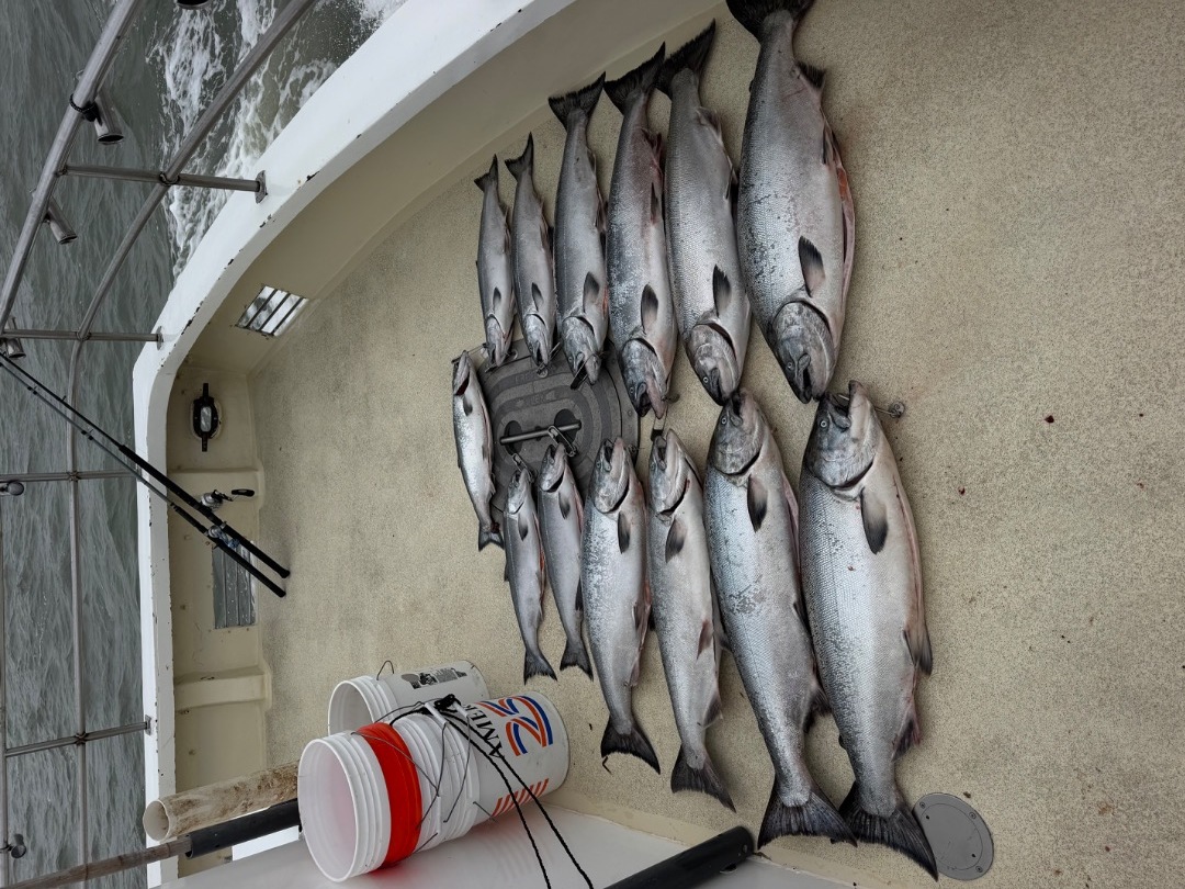 Limits of Salmon