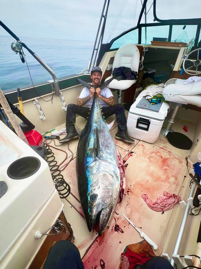 Anglers enjoying hunt for two semi-exotic species: white sea bass, bluefin tuna