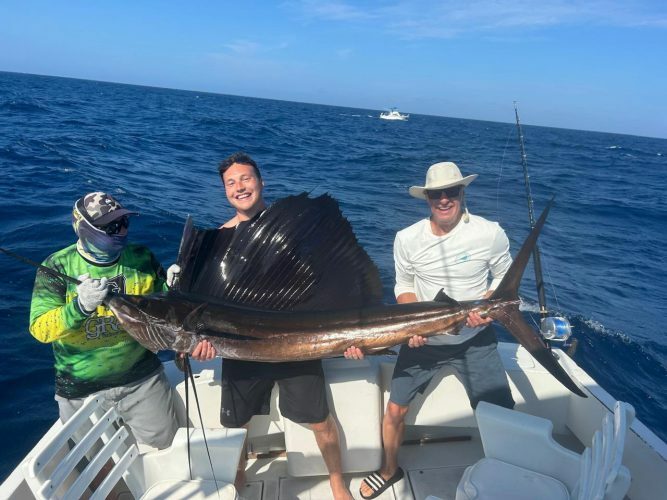 75 lb. Sailfish 