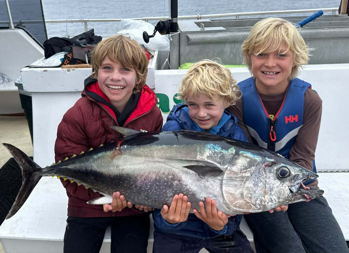 Bluefin Surprise & Rockfish Rampage!