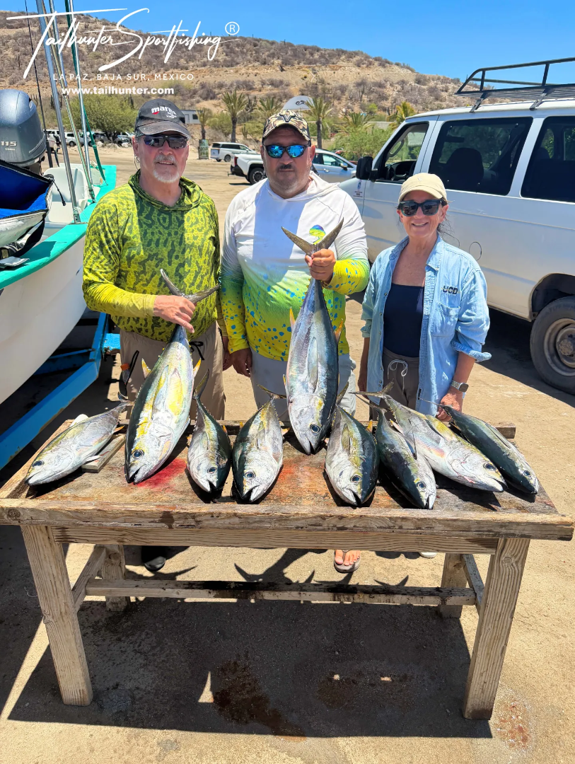 Big Tuna Move Off And School Dorado Move In