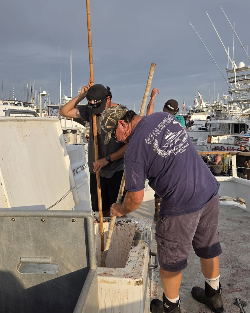 Off loading our limits of tuna last night