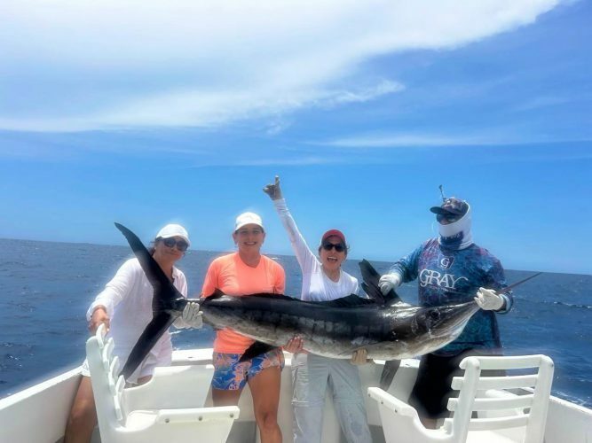 Striped Marlin up to 130 lbs.