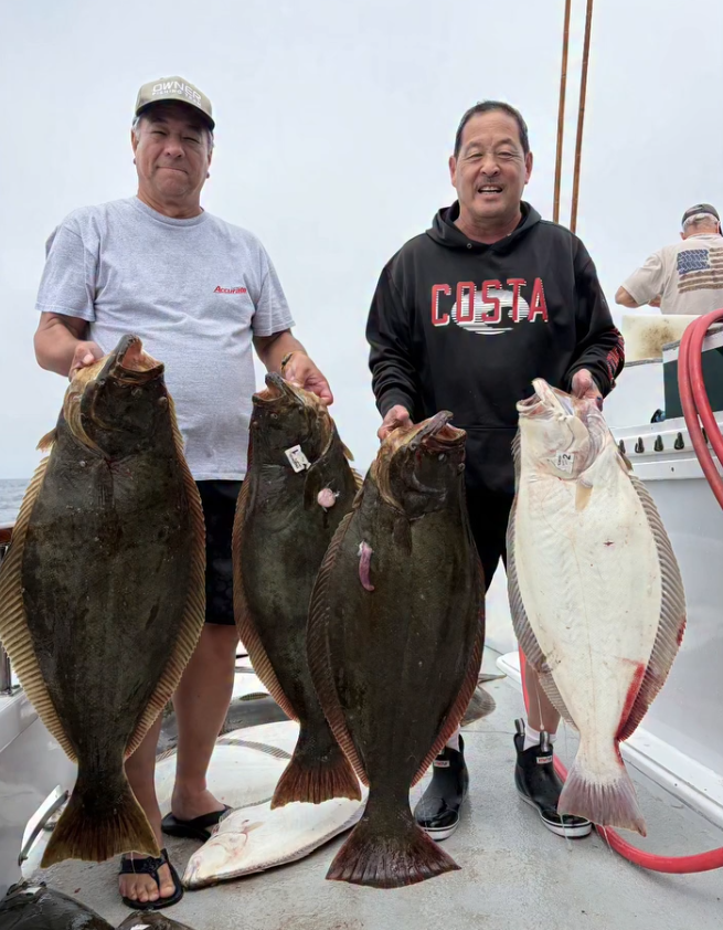 Some of the best halibut fishing we have seen the last couple of overnights