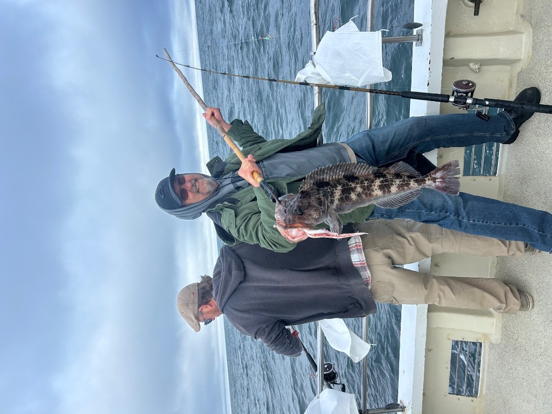 Limits of lingcod and rockfish