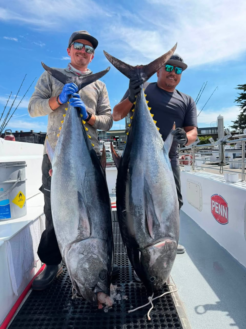 Crew Trip Today for Bluefin Tuna