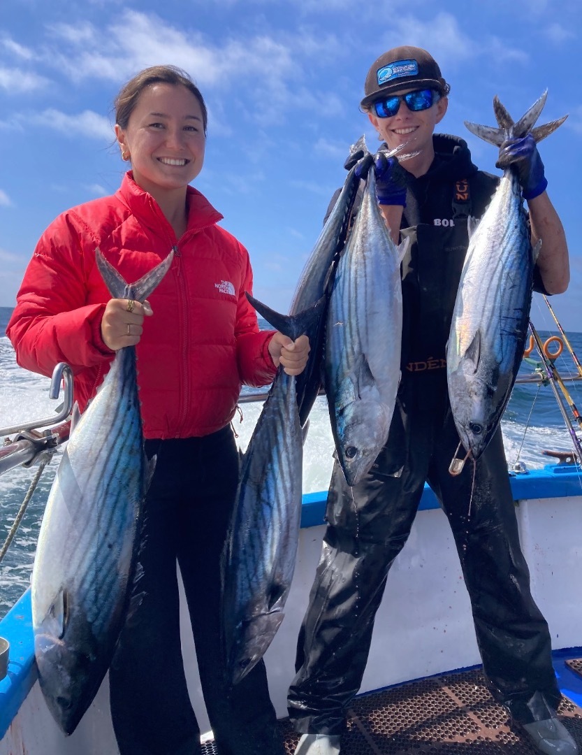 Rock fish and Bonita