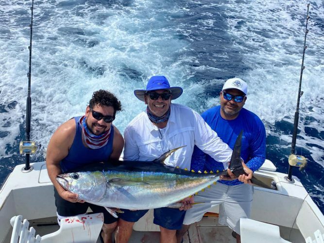 Yellowfin up to 120 lbs. 