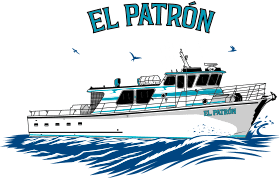 El Patron Full Day Trip