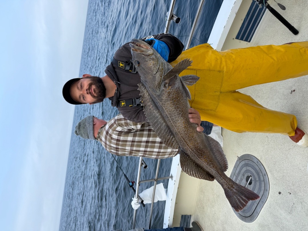 Great rockfish and lingcod bite
