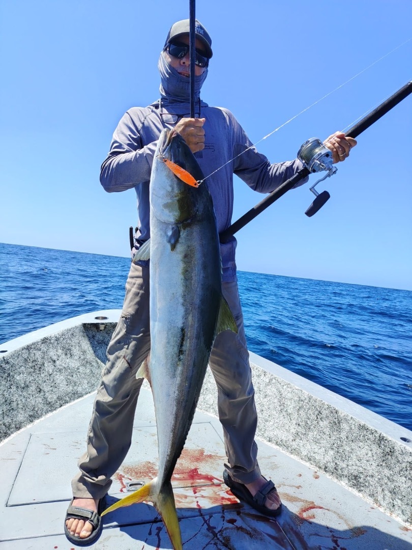 Yellowtail…. 