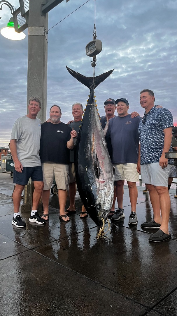 fish report - Super Cow on The Game Changer