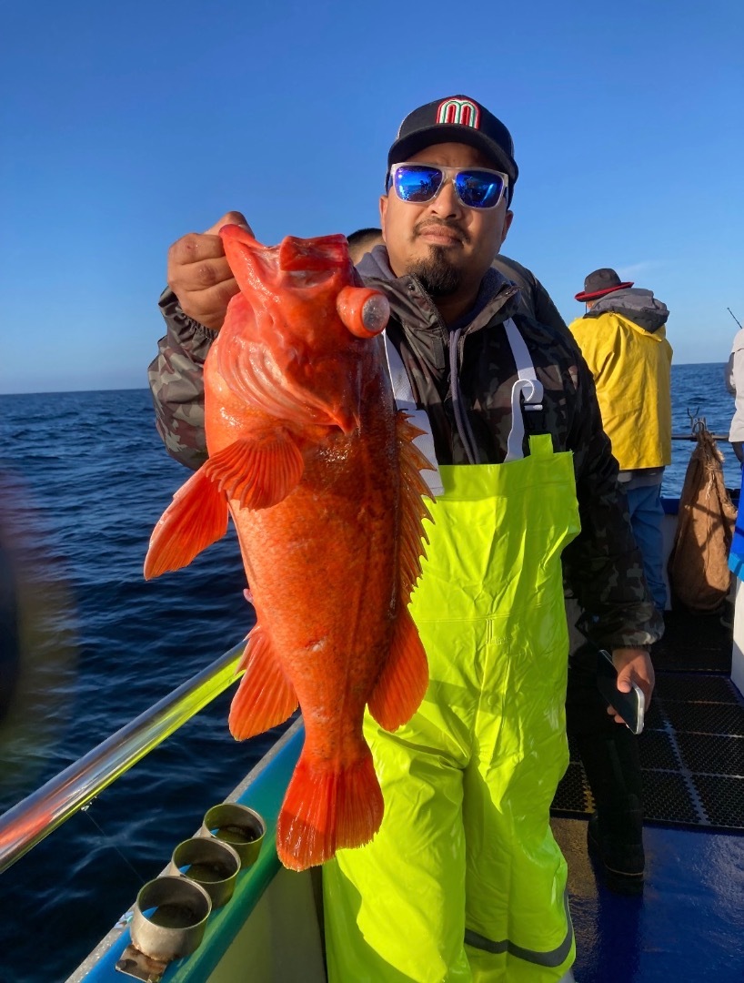 Fish Report - Cover Photo