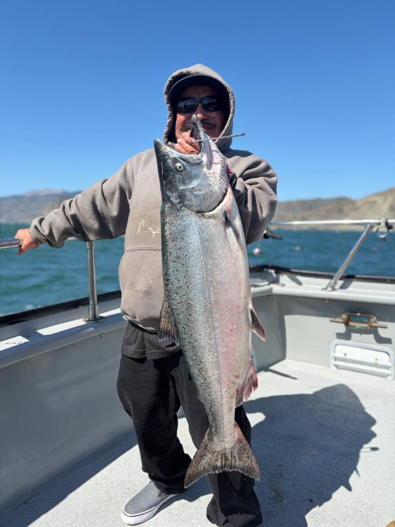 15 salmon to 25 pounds