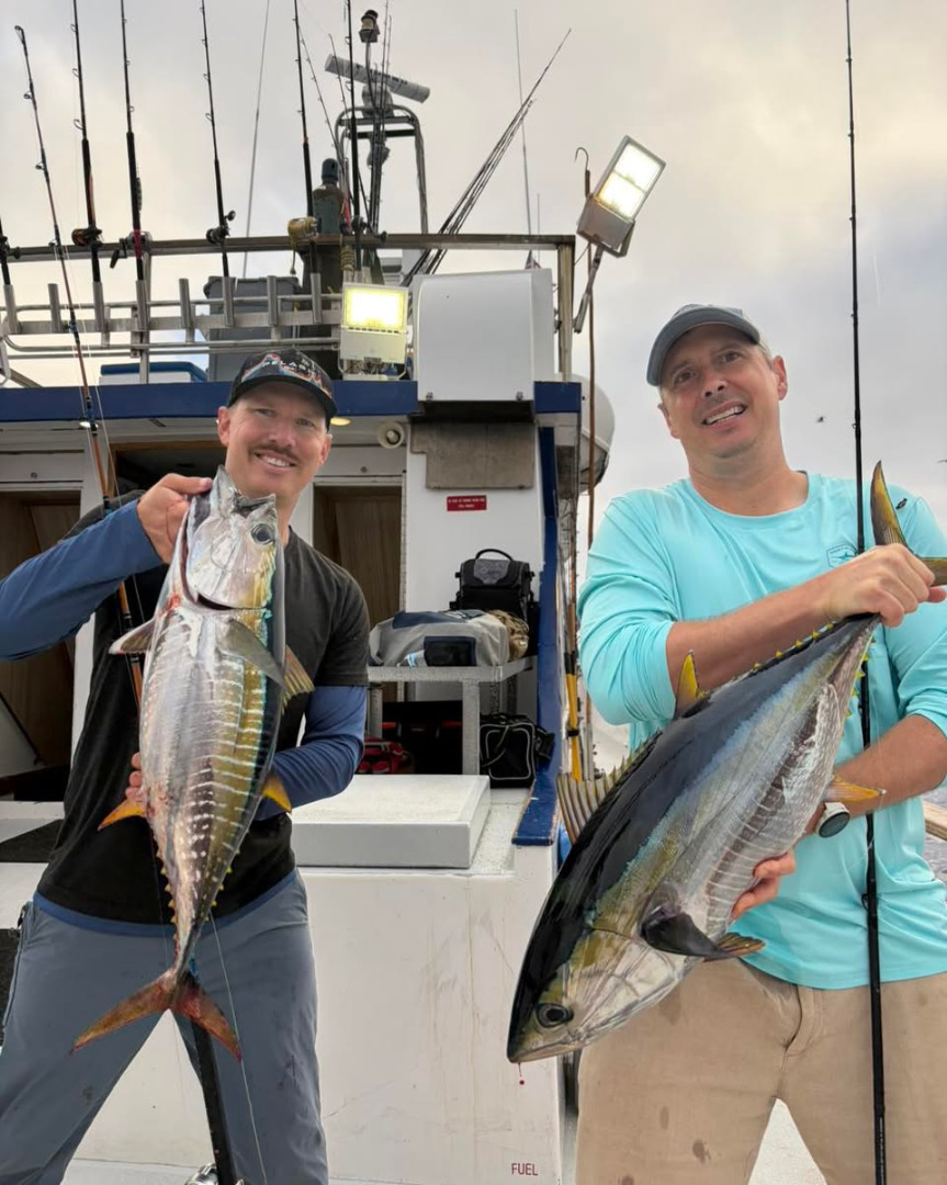 Picking away at some Yellowfin this morning