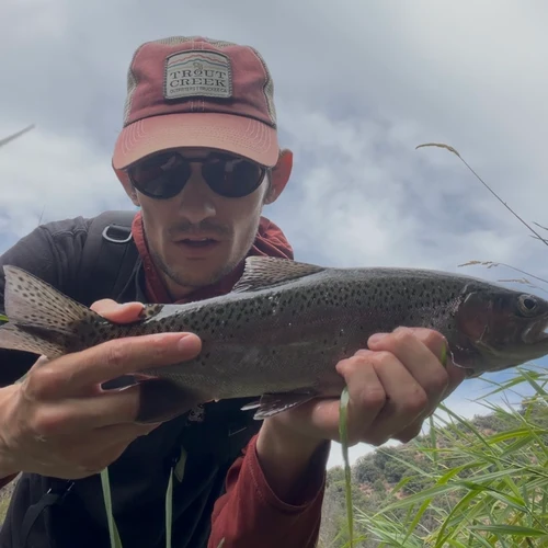 The Little Truckee Continues to hold at 42 CFS this week