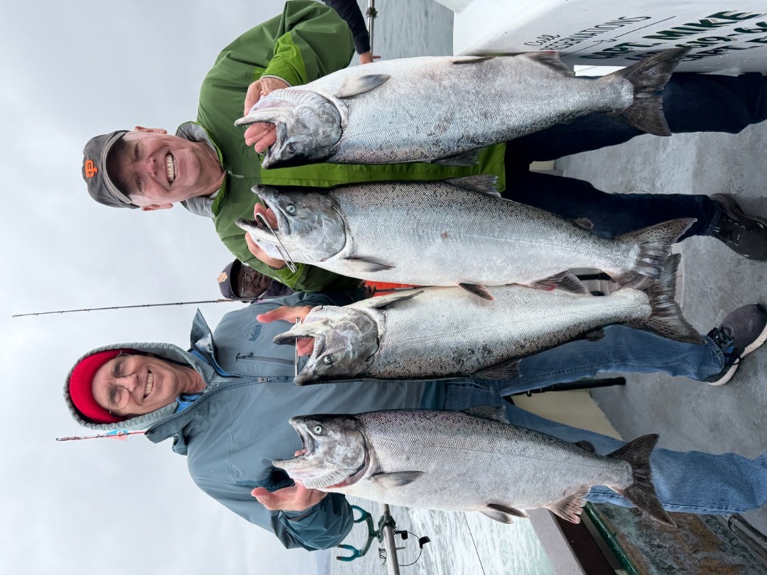 LIMITS OF SALMON!!!