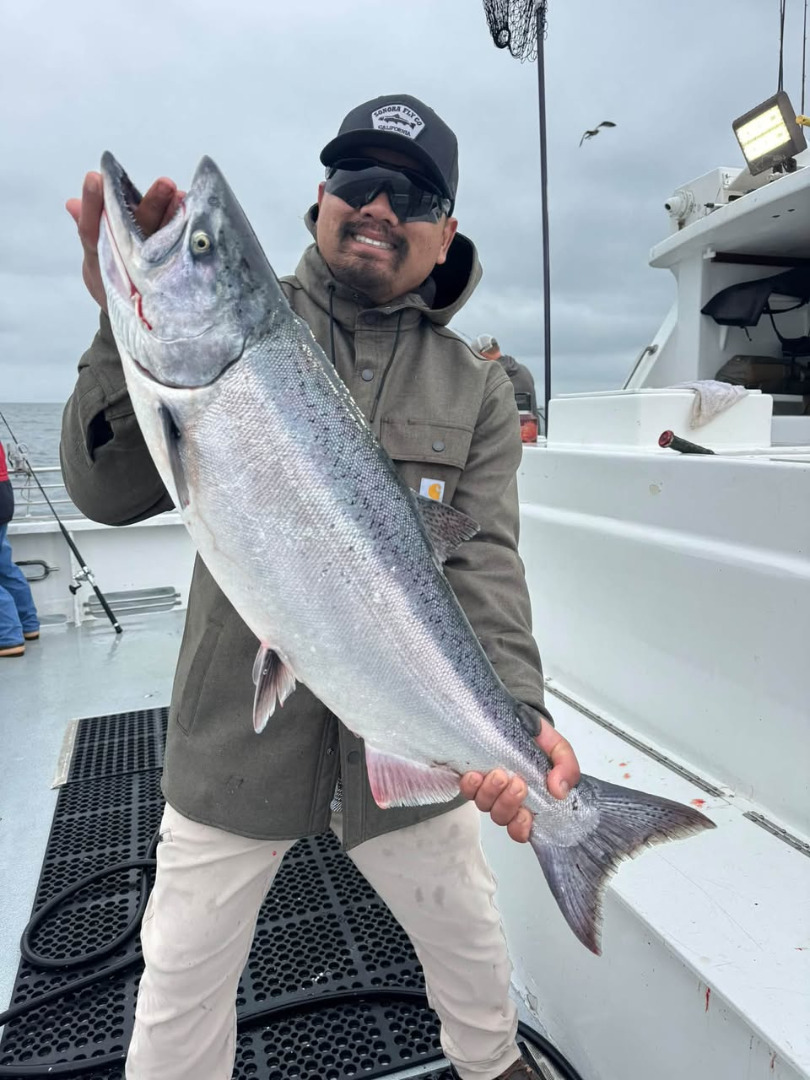 Salmon was excellent today!