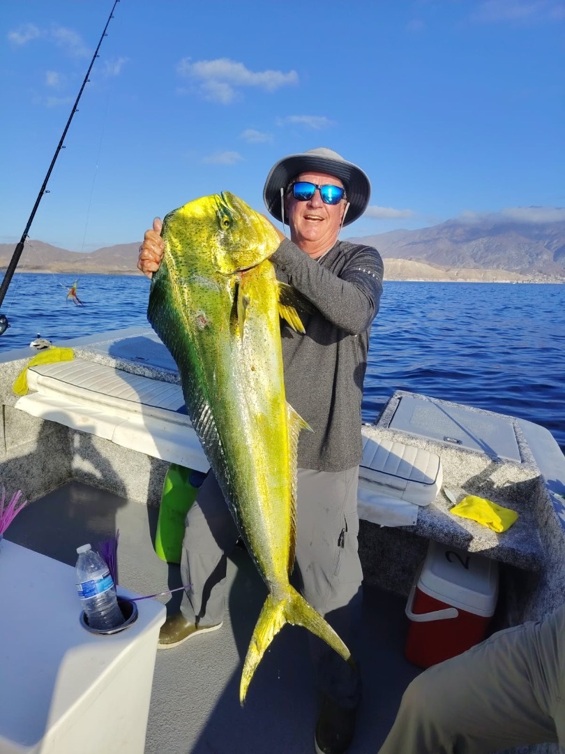 Morning Dorado Bite… 