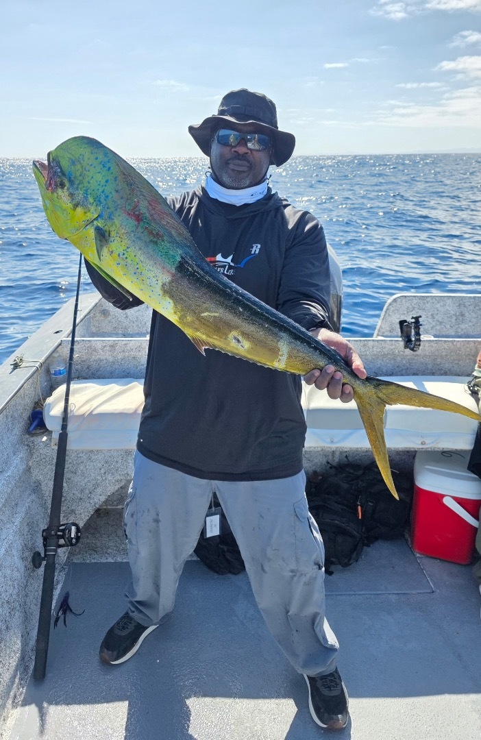 Dealer Lures… 