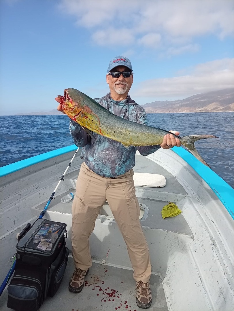 Dorado…. 