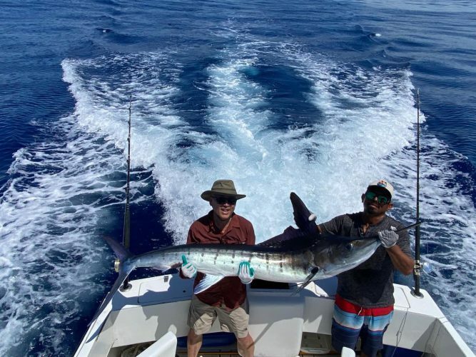 110 lb. Striped Marlin