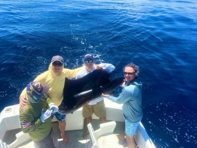 70 lb. Sailfish