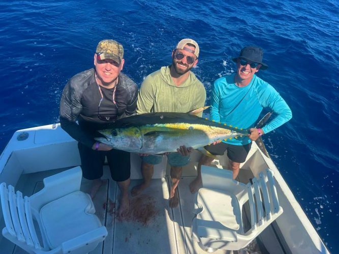 100 lb. Yellowfin Tuna
