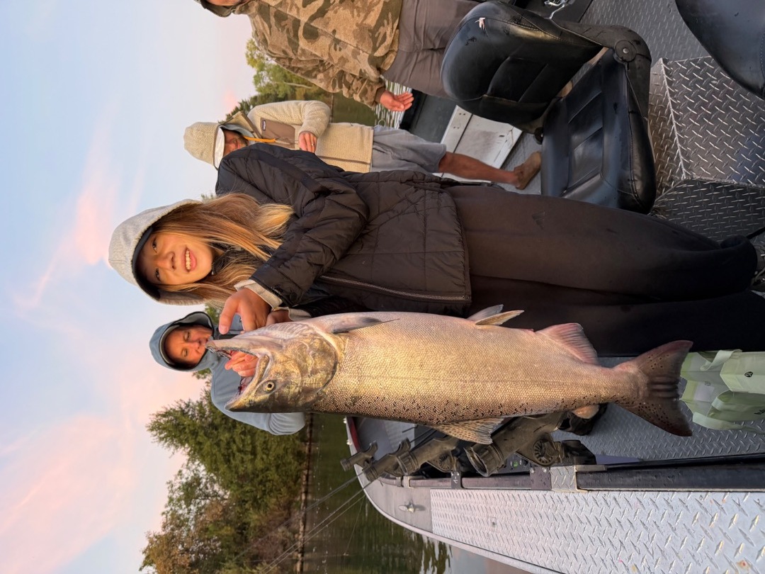 Sacramento River king salmon