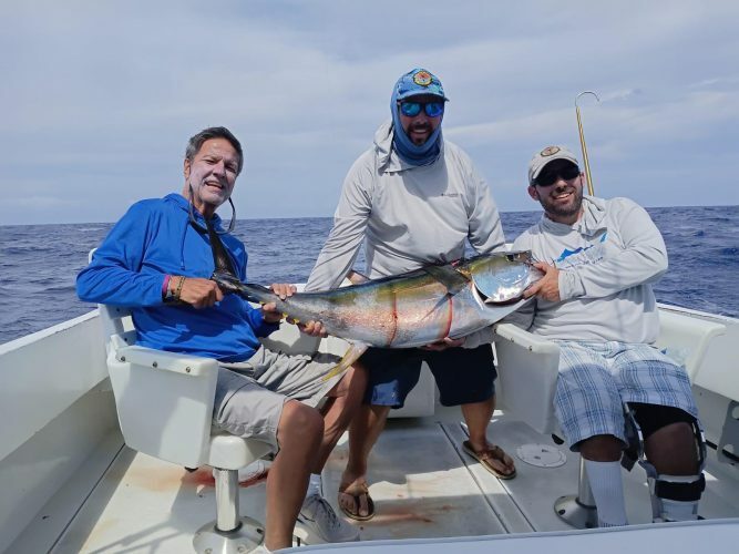 100 lb. Yellowfin Tuna
