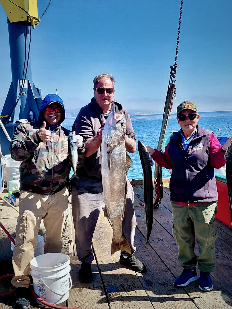 Thresher shark, barracuda, bonito and white seabass feeding in our area
