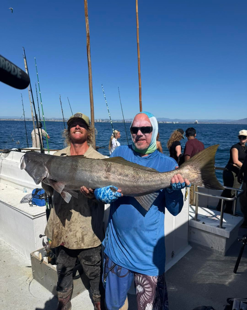 fish report - 50lb White Seabass
