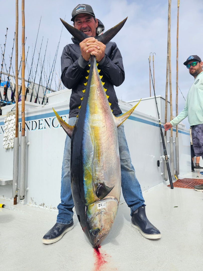 Tackle Express 10 Day