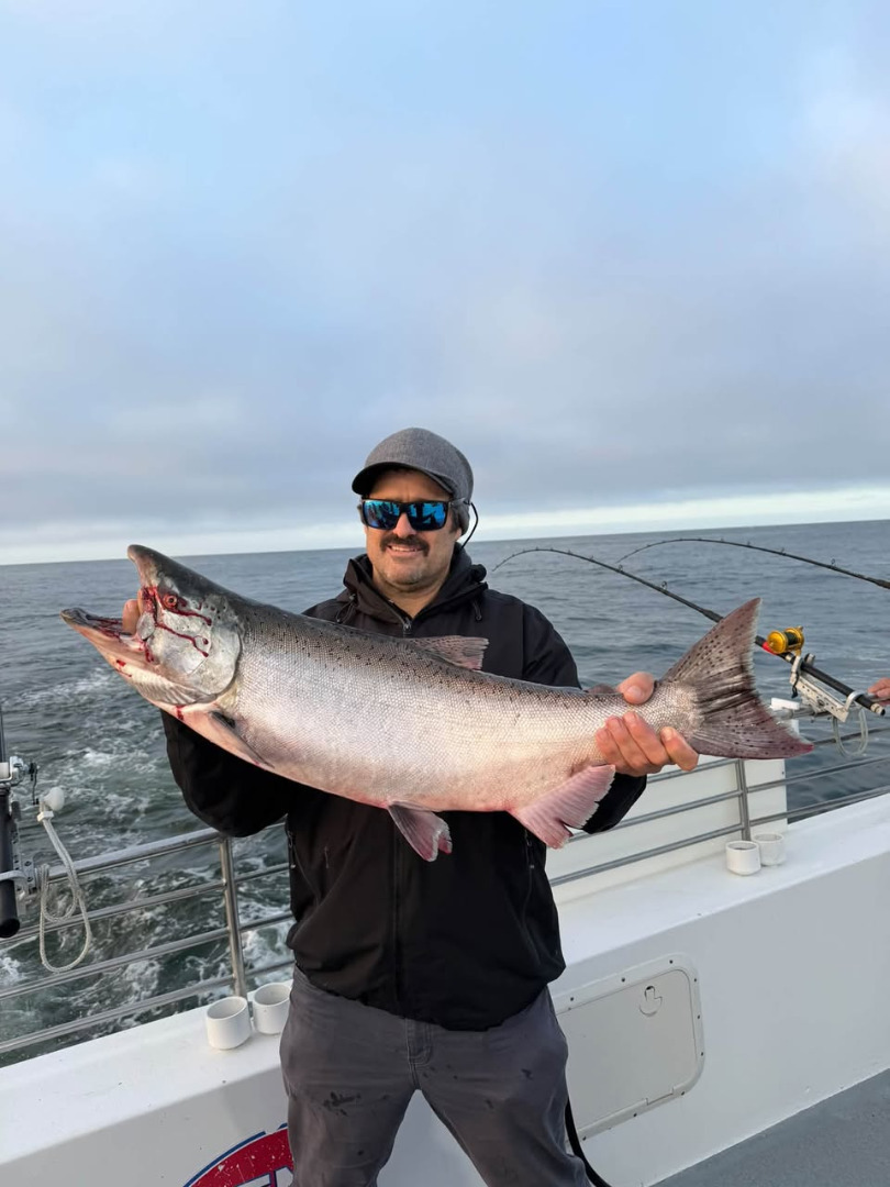 Salmon up to  22 pounds