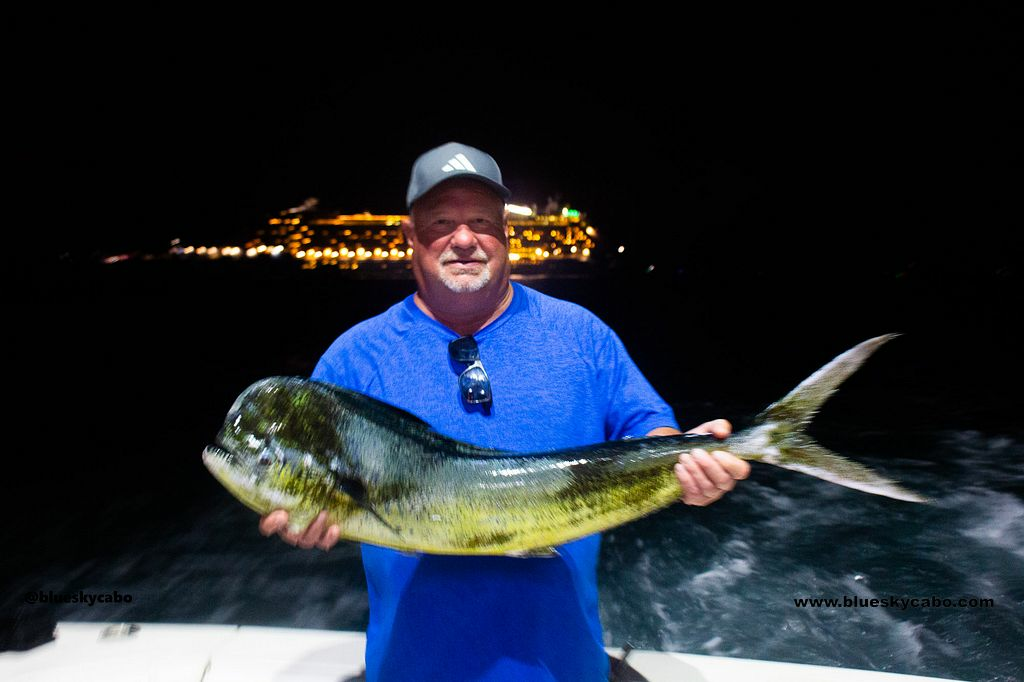 Dorado Bite Ignites the Pacific! in Cabo 