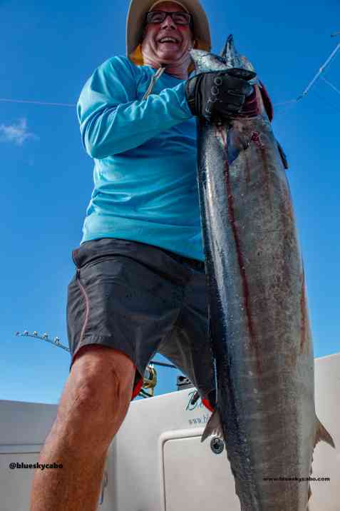 Wahoo - San Jaime Banks