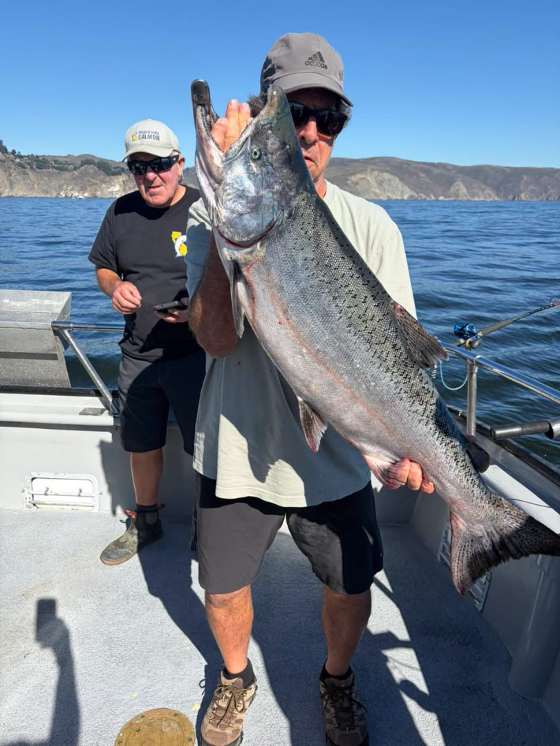Salmon up to 28 lbs.
