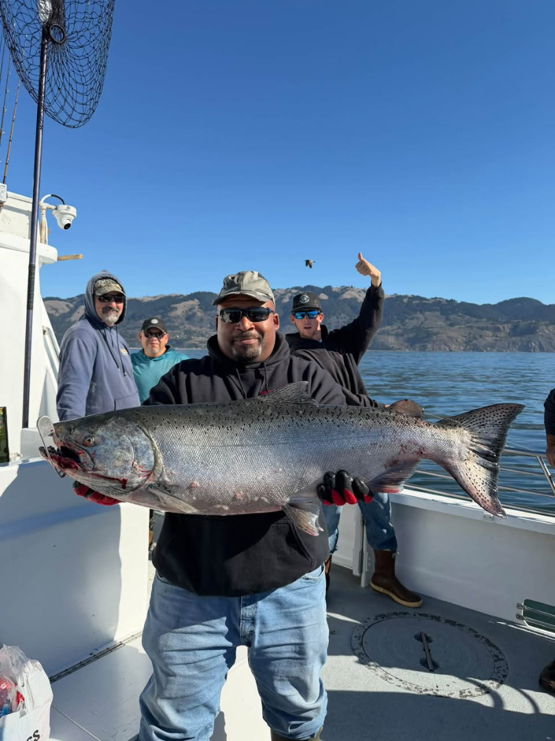 Salmon up to 26 lbs.