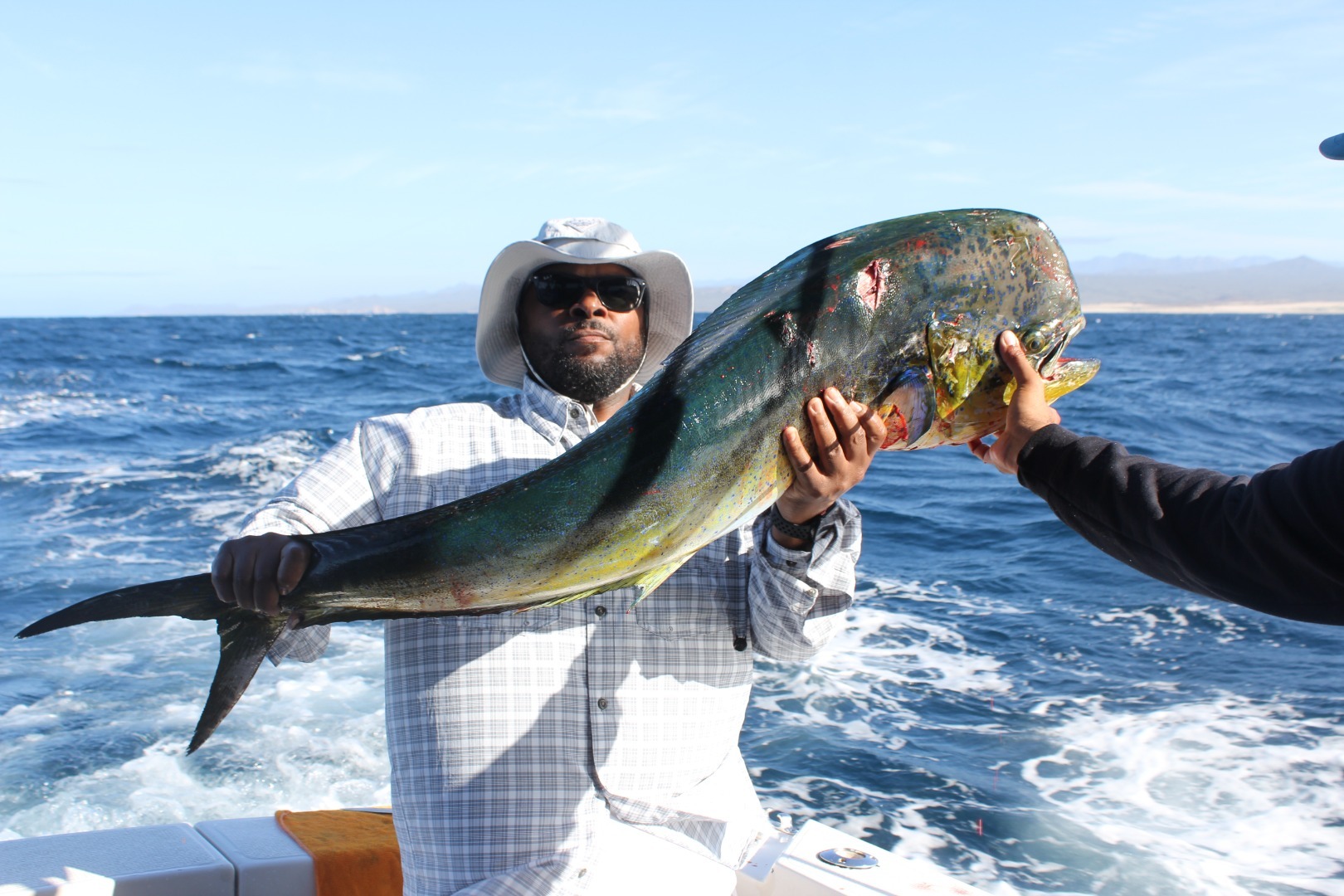 The Dorado Bite Steals the Spotlight!